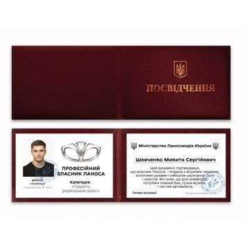 Фото ПРОФЕСІЙНИЙ ВЛАСНИК ЛАНОСА (З фото та імʼям) 666,