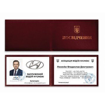 Фото ЗАСЛУЖЕНИЙ ВОДІЙ HYUNDAI (З фото та імʼям) 999,
